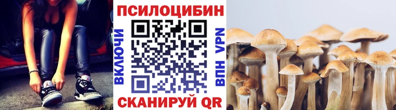 наркотики  Североморск  Галлюциногенные грибы Cubensis 